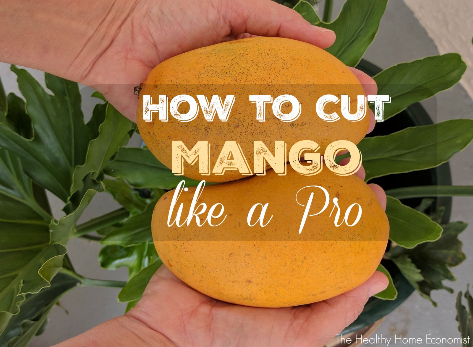How to Cut Mango Like a Pro (+ VIDEO)