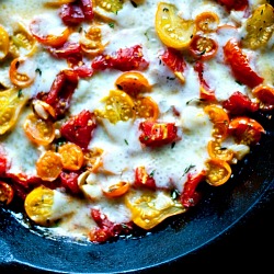 Roasted Tomatoes with Fontina and Thyme