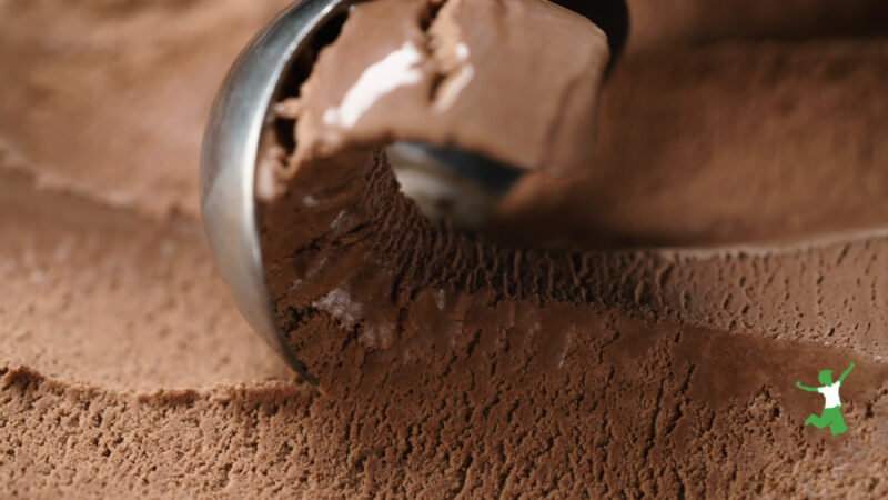 Homemade Chocolate Ice Cream | Healthy Home Economist
