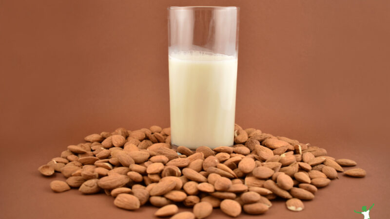 Sprouted Almond Milk | Healthy Home Economist